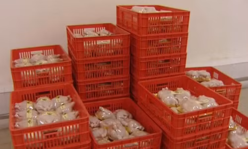 Những con gà thành phẩm được bảo quản trong phòng lạnh để chờ đem phân phối trên thị trường.