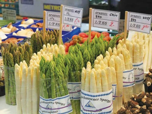 Vào mùa Xuân, tại bất cứ thành phố lớn nhỏ nào ở Đức đều có những điểm bán măng tây tươi trên vỉa hè hay trước các khu thương mại với những dòng người xếp hàng để mua những bó măng đầu mùa còn thoảng mùi đất ẩm.