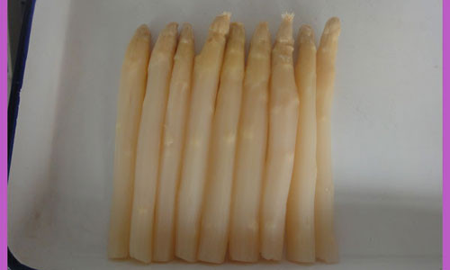 Ngoài việc được nhiều bà nội trợ nấu ăn tươi, chúng thường được làm lạnh và đóng hộp.