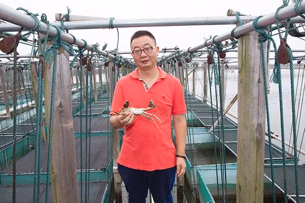 Ông Ke Wei là một doanh nhân Trung Quốc đang phát triển mô hình nuôi trồng và kinh doanh lông cua bán thịt. Chuỗi nhà hàng của ông có một thực đơn 26 món ăn sử dụng các bộ phận khác nhau của cua lông.