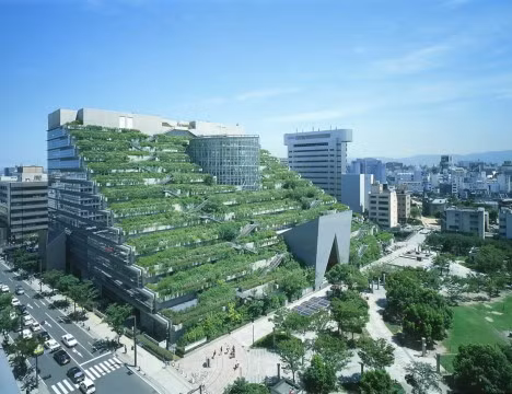 Công trình ACROS được chú ý đặc biệt vì khắp bề mặt tòa nhà bao phủ bởi màu xanh của cỏ cây hoa lá với khoảng 50.000 giống cây xanh tươi, trong đó có 76 loài đặc biệt.