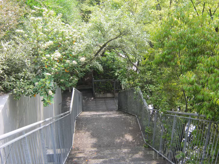 Công trình đã gây điểm nhấn mạnh nhờ thiết kế thông minh và tạo được cảm giác yên bình, tươi mới trong thành phố công nghiệp, bên cạnh những kiến trúc bê tông gượng gạo. Trong ảnh là lối đi phủ cây xanh râm mát của tòa nhà.