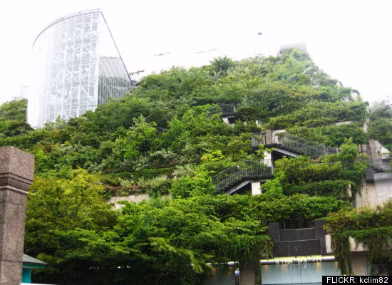 Tòa nhà phủ cây xanh này là tổ hợp công trình sử dụng loại kết cấu để tạo ra một không gian bên ngoài, mang vẻ đẹp cùng chức năng y hệt công viên của thành phố Fukuoka, ngoài việc là kiến trúc thơ mộng.