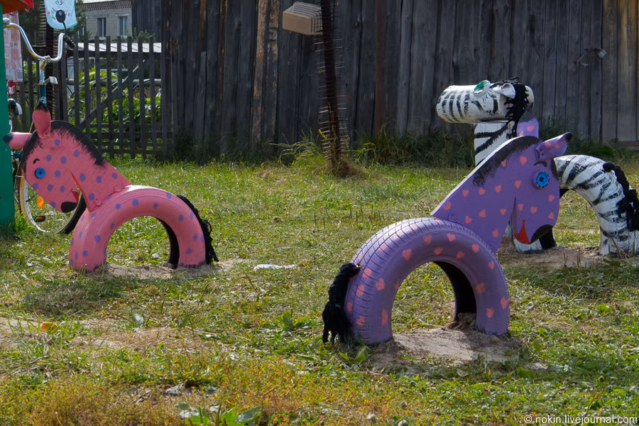 Hình những chú ngựa bắt mắt.