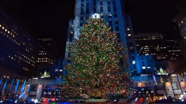 Cây thông Noel ở trung tâm The Rockefeller Center, tại New York (Mỹ). Cây thông khổng lồ này sẽ được thắp sáng trong dịp Giáng sinh 2015, từ ngày 2/12/2015 tới 6/1/2016.