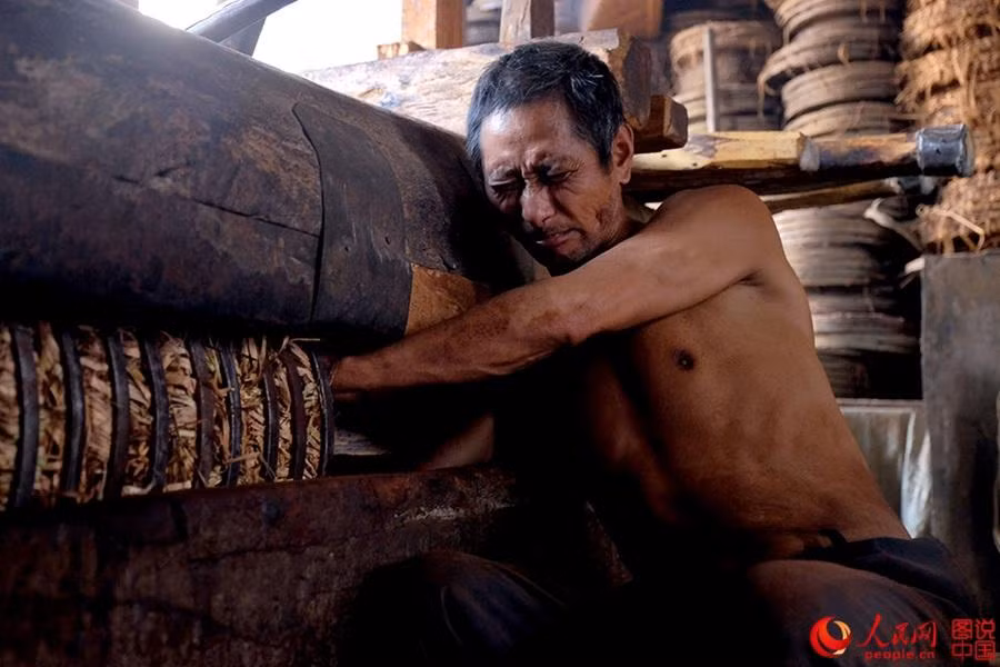 Hình ảnh bên trong một xưởng ép dầu hạt cải theo phương pháp truyền thống ở tỉnh Anh Huy, Trung Quốc.