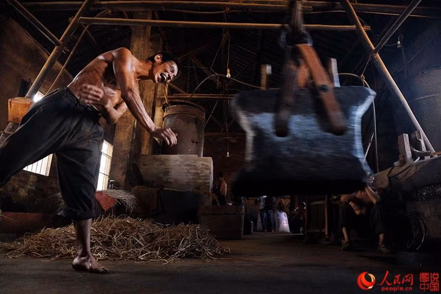 Công nhân phải dùng hết sức để đập lấy dầu hạt cải.