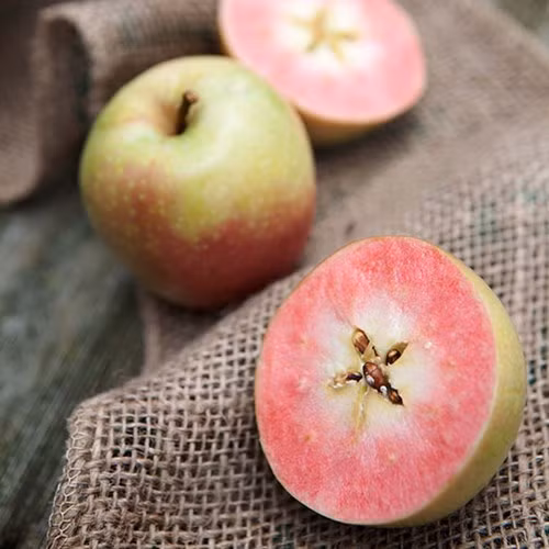 Giống táo lõi hồng có tên Hidden Rose, hay còn được gọi là Airlie Redflesh, là giống táo Mỹ được người tiêu dùng rất ưa chuộng. Giống táo độc lạ này được trồng phổ biến ở Airlie, bang Oregon, Mỹ.