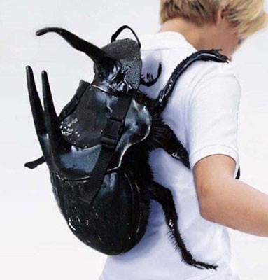 ...hình bọ dừa.