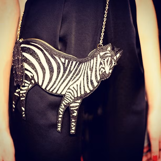 Túi hình ngựa vằn.