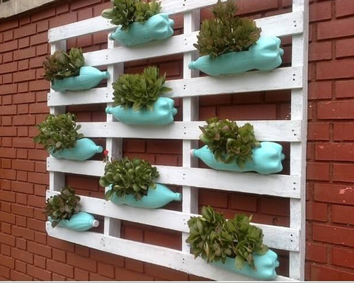 Với các chai nhựa cũ, bạn có thể tự tạo một chậu cây treo thẳng đứng để trang trí vườn đẹp.