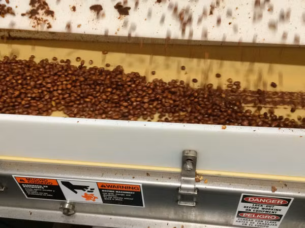 Những viên kẹo dần dần được hình thành.