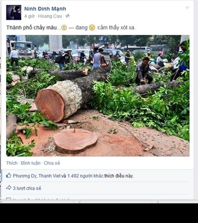 Một vài nghệ sĩ bằng lời ca tiếng hát của mình cũng nói lên nỗi lòng, sự tiếc nuối cây xanh bị chặt.