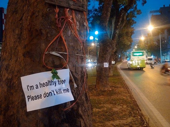 Lợi ích che bóng mát, làm xanh, đẹp thành phố... của những cây xanh được người dân viết ra giấy, đính lên thân cây trong thành phố, như một thông điệp gửi tới tất cả mọi người.