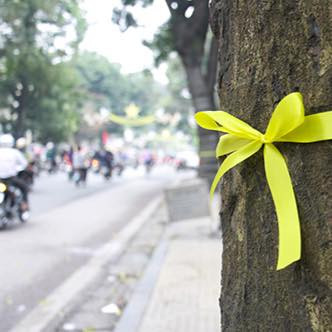 Những hành động như viết biểu ngữ, buộc những dải nơ lên thân cây... vừa lịch sự, tinh tế, vừa có tác động sâu đậm tới thị giác, tạo suy ngẫm cho người dân Thủ đô và chính những cơ quan chức năng quyết định chặt hạ cây Hà Nội.