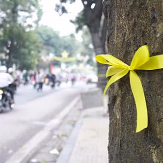 Những hành động như viết biểu ngữ, buộc những dải nơ lên thân cây... vừa lịch sự, tinh tế, vừa có tác động sâu đậm tới thị giác, tạo suy ngẫm cho người dân Thủ đô và chính những cơ quan chức năng quyết định chặt hạ cây Hà Nội.