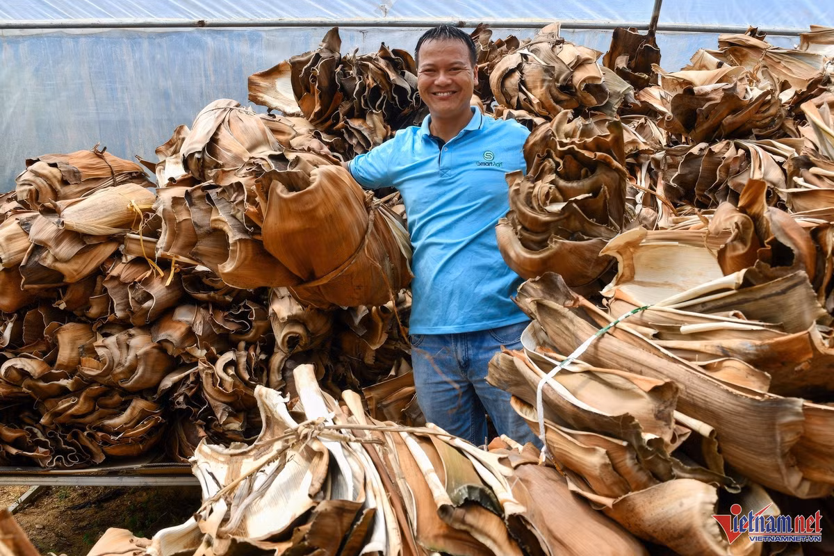 Mo cau thành chén, đĩa, hộp cơm phục vụ khách Víp trên máy bay Mo cau thanh chen, dia, hop com phuc vu khach Vip tren may bay