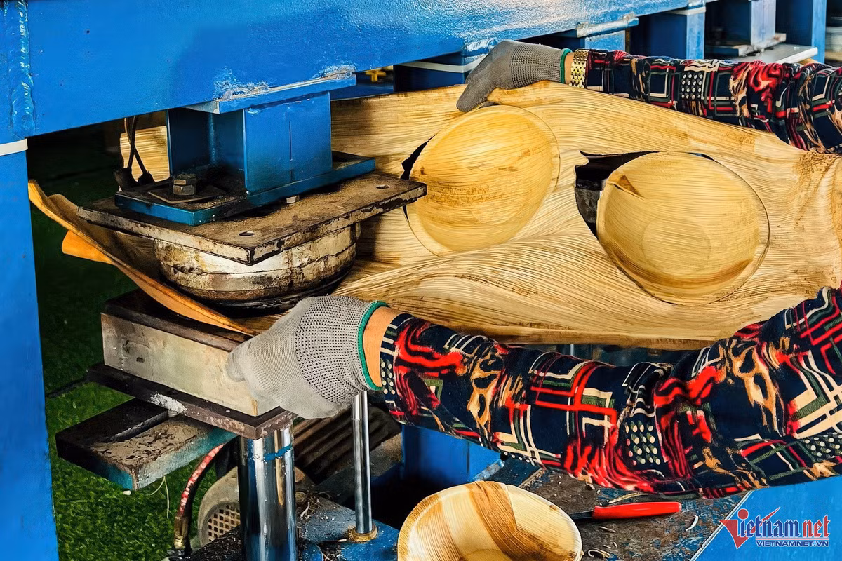 Mo cau thành chén, đĩa, hộp cơm phục vụ khách Víp trên máy bay - Hình 7 Mo cau thanh chen, dia, hop com phuc vu khach Vip tren may bay-Hinh-7