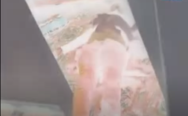 Hoảng hốt, Đạt kêu la nhờ người đến giúp. Khi hàng xóm chạy sang hỗ trợ đi cấp cứu mới biết nạn nhân đã chết trước đó. Kết quả giám định tử thi của Trung tâm Giám định Pháp y tỉnh Quảng Nam cho thấy, nạn nhân tử vong do đa vết thương xuyên thấu ngực và bụng, tổn thương nội tạng gây mất máu cấp.