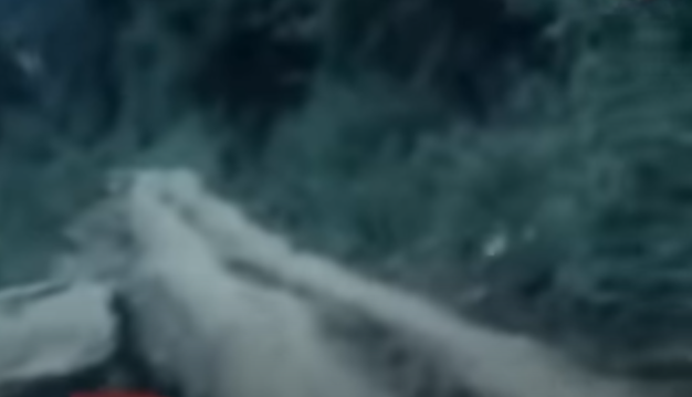 Căn cứ kết quả khám nghiệm hiện trường và điều tra ban đầu xác định đây là vụ án đặc biệt nghiêm trọng, chưa rõ thủ phạm, thời gian xảy ra vụ án vào ban đêm, không có nhân chứng, vật chứng và chưa phát hiện được xác nạn nhân. Tất cả các địa điểm nghi vấn có thể đối tượng giấu xác nạn nhân đều được kiểm tra, các mũi trinh sát được tỏa đi, từng vạt rừng, con suối, những chú chó nghiệp vụ cũng được tung vào cuộc, lần theo từng dấu vết của nạn nhân.