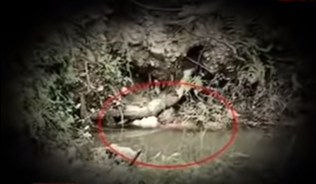 Đến 17h ngày 10/3/2013 xác nạn nhân đã được tìm thấy trong một bao tải chôn lấp tại khe suối bản Mơ Tươi cách nơi bị giết khoảng 300m. Qua khám nghiệm, xác định nạn nhân bị đâm chém nhiều nhát vào đầu, trán, vỡ xương hộp sọ, cổ bị cắt, bàn tay trái bị chém đứt 4 ngón tay…