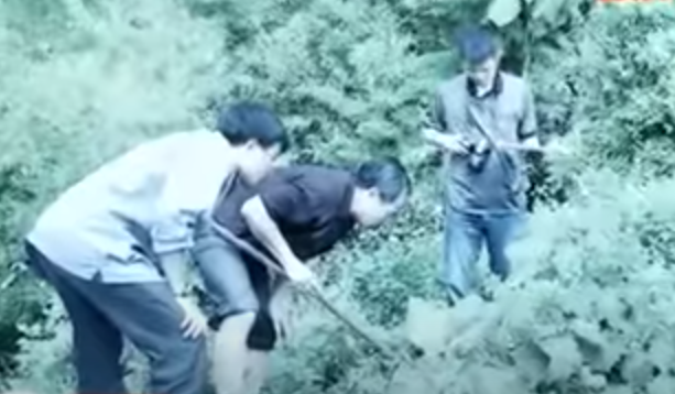 Trước đó, chồng chị Chung là Vì Văn Khiêm (SN1982) phát hiện ở phía sau nhà ông Vì Văn Phúc (bố đẻ Khiêm) có một đôi dép, 1 ấm đun nước và có nhiều vết máu, tóc trên đất.