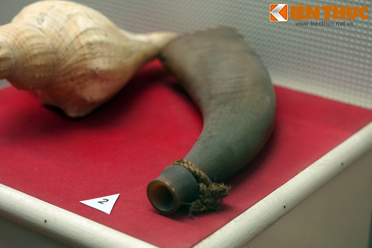 Tù và bằng sừng trâu của nhân dân tỉnh Ninh Bình dùng báo hiệu lệnh tập hợp quần chúng đến tỉnh lỵ đòi giảm sưu thuế năm 1930.