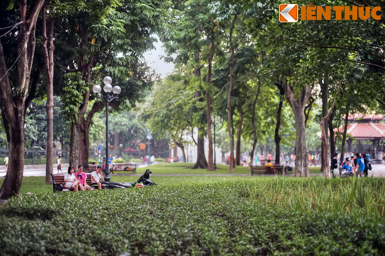 Đến với vườn hoa này, du khách sẽ được thả mình trong bầu không gian khoáng đạt của quảng trường rộng lớn hướng ra bờ hồ, được quanh bọc bởi màu xanh của cỏ cây...