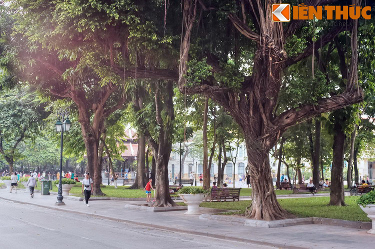 Dù diện mạo vườn hoa đã thay đổi nhiều theo thời cuộc, hàng cây cổ thụ ở nơi đây vẫn xanh tươi và lưu giữ những ký ức không bao giờ mờ phai của nhiều thế hệ người Hà Nội...