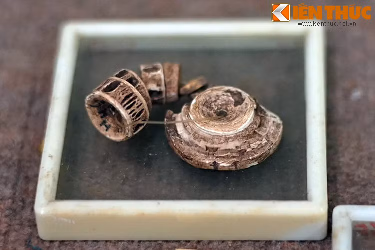 Vòng đeo tay làm từ 7 đốt xương sống của cá.