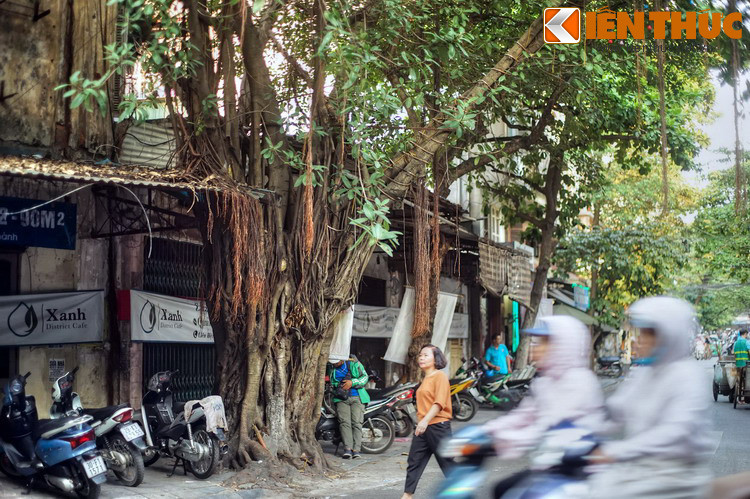 Đoạn phía Tây phố Hàng Nón hiện tại (giáp phố Đường Thành) chỉ mới được mở từ năm 1920, còn đoạn phía Đông (từ ngã ba Hàng Hòm đến ngã ba Hàng Quạt) thì trước kia là một phần của phố Mã Vĩ.