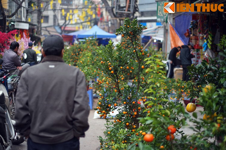 Không chỉ là chốn mua bán, chợ hoa Hàng Lược thực sự là nét đẹp tinh thần in sâu vào ký ức các thế hệ người Hà Nội, từ quá khứ, hiện tại cho đến tương lai... Mời quý độc giả xem video: Đi tìm Tết Việt. Nguồn: VTC14.