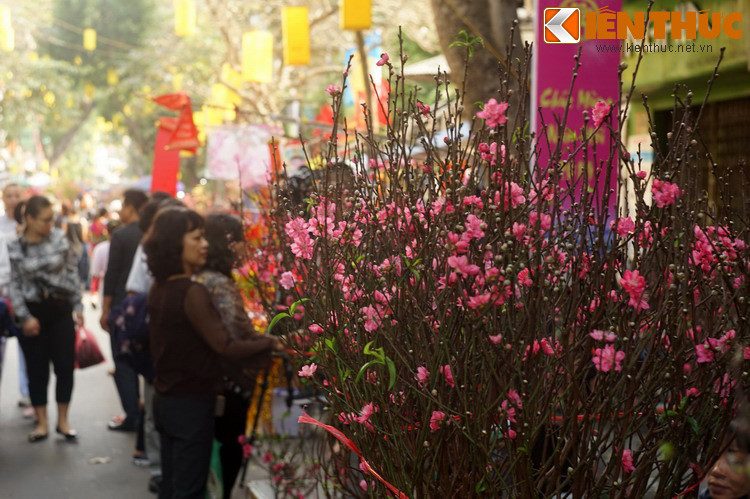 Trong những năm kháng chiến chống Mỹ, chợ hoa vẫn họp rộn rã mỗi dịp xuân về như một nét sinh hoạt thanh lịch, trang nhã của người Hà Nội.