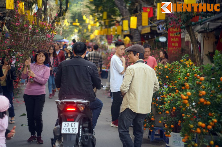 Nói về ngày Tết ở Hà Nội, sẽ là thiếu sót nều không nhắc đến chợ hoa Hàng Lược – chợ hoa lâu đời nhất thủ đô.