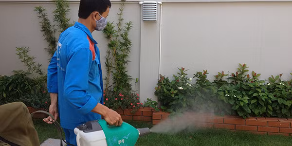 Để phòng chống dịch bệnh Zika, người dân phải tích cực chống muỗi, diệt muỗi, triệt tiêu điều kiện sinh sản của muỗi bằng cách phát quang bụi dậm, đậy kín các bể nước, dọn sạch những chỗ có nước tù đọng. 