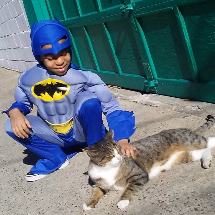 Shon Griffin, một cậu nhóc 5 tuổi, ở Philadelphia, Mỹ thực sự là một siêu anh hùng của những con mèo khi tham gia giải cứu và chăm sóc những con mèo lang thang rất nhiệt tình, hào phóng. (Nguồn Bored Panda)