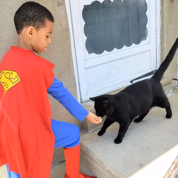 Ngày đó, khi mọi người trong nhóm cố gắng để tiếp cận một con mèo lang thang tên là Bug, con mèo đã chống trả quyết liệt và nhất định không chịu hợp tác. (Nguồn Bored Panda)