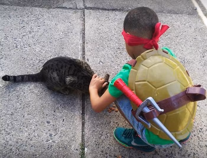 Trong ảnh là Shon trong trang phục ninja rùa đang an ủi và cho một con mèo sống lang thang ăn uống. (Nguồn Bored Panda)