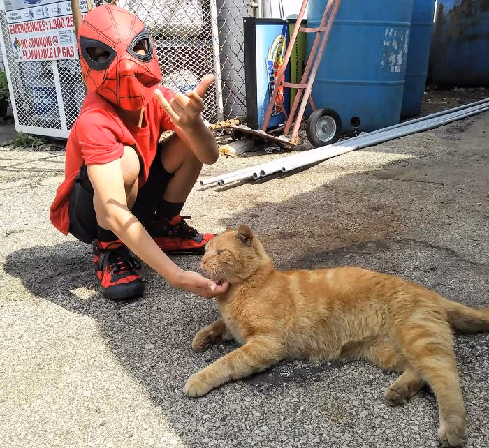 Theo ghi nhận của những người ở trung tâm, những con mèo khó tính, khó gần nhất không cho phép bất cứ người nào chạm vào chúng nhưng khi Shon đến, chúng sẽ lập tức chủ động tiếp cận cậu bé. (Nguồn Bored Panda)