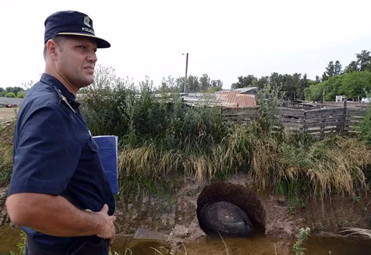 Theo các chuyên gia, đây không phải là trứng mà là mai của một loài động vật tên Glyptodont, một sinh vật cổ đại giống như loài tatu khổng lồ. Hơn 15000 năm trước, những động vật ăn cỏ này đã đi khắp Nam Mỹ và để lại nhiều dấu ấn của mình. (Nguồn Boredomtherapy)