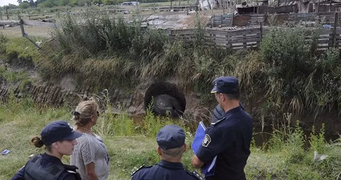 Được biết, hóa thạch của con Glyptodon mà anh Jose tìm thấy không phải là hóa thạch duy nhất của loài được tìm thấy ở Argentina. Trên thực tế, các nhà khảo cổ đã phát hiện ra một số các hóa thạch tương tự nằm rải rác khắp cả nước. Tuy nhiên, cực hiếm hóa thạch có chất lượng cao như hóa thạch mà Jose tìm thấy. Các nhà khoa học hy vọng sẽ tìm kiếm được những thứ giá trị hơn, giúp con người hiểu biết sâu sắc hơn khi tiến hành nghiên cứu hóa thạch này. (Nguồn Boredomtherapy)