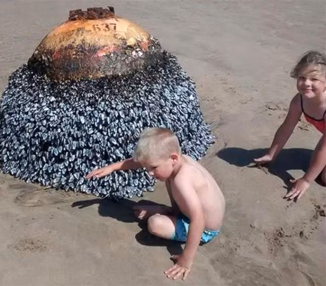 Vo tu chup anh vat the la, phat hien bi an co the gay chet ca nha-Hinh-2