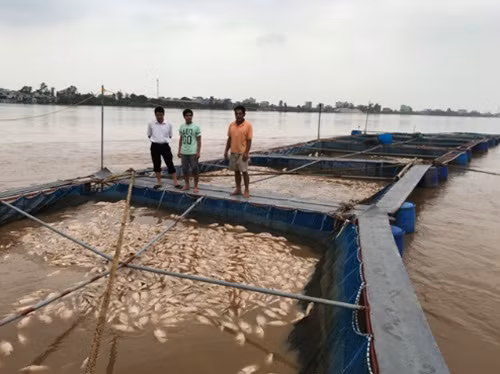 Khoc ngat khi 80 tan ca chet trang song vi lu ve-Hinh-2