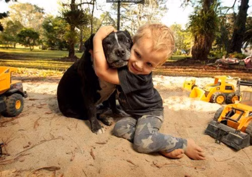 Chó sủa liên tục bất thường và sự thật đáng sợ - Hình 4 Cho sua lien tuc bat thuong va su that dang so-Hinh-4