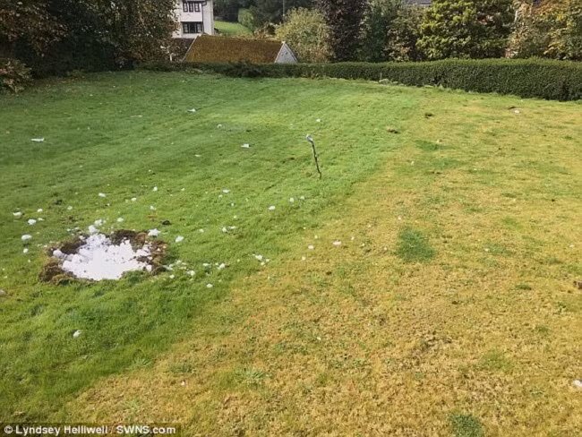 Dot nhien thay nha rung lac, chay ra san thi thay dieu choang vang nay-Hinh-2