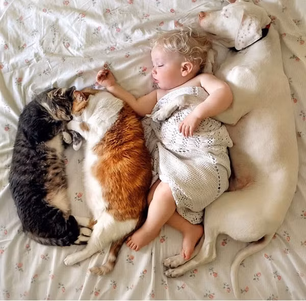 Thế nhưng, trải qua nhiều khó khăn để hàn gắn, hiện tại tất cả đã là một gia đình. (Nguồn 9gag)