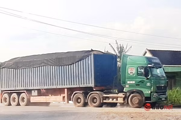 Xe cat noc container cho cat dap ngon 'lam mua lam gio', CSGT bo tay-Hinh-10