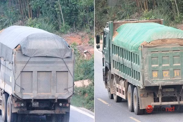 Xe cat noc container cho cat dap ngon 'lam mua lam gio', CSGT bo tay-Hinh-14