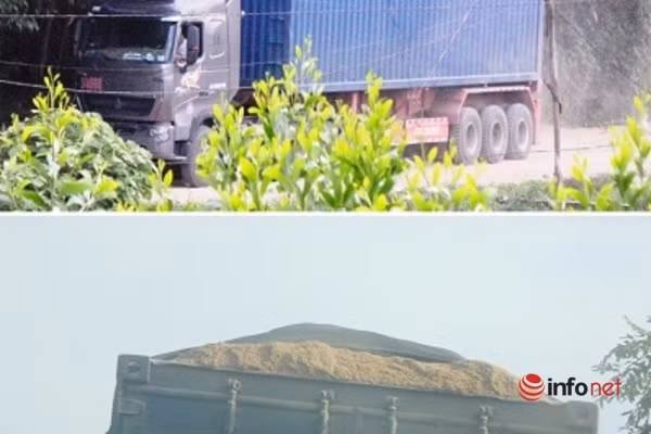 Xe cat noc container cho cat dap ngon 'lam mua lam gio', CSGT bo tay-Hinh-7