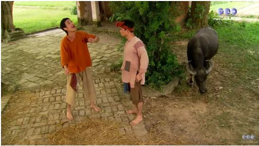 Hiep Ga co chanh long khi nhin dong nghiep cung thoi nhu Xuan Bac, Tu Long?-Hinh-2